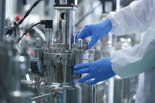 凯赛生物 深耕合成生物技术，聚力打造材料产业集群新引擎