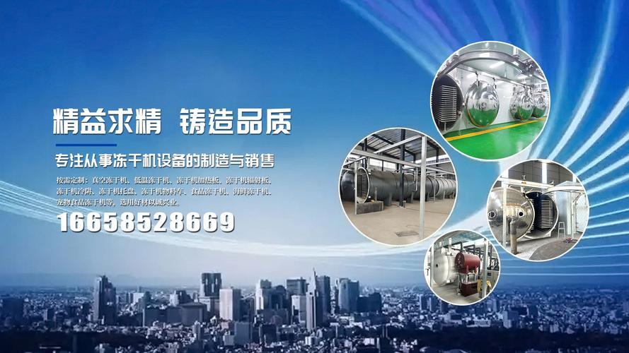 2026年浙江10平冻干机/大型冻干设备/黄花菜冻干机厂家考察:剖析专业