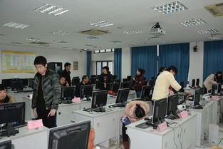 技术服务部职工全力备战业务技能考核